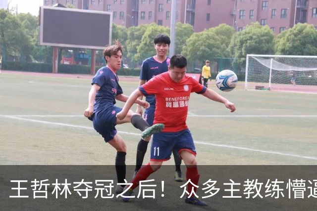 王哲林夺冠之后！众多主教练懵逼，就这个数据跟胡金秋差远了